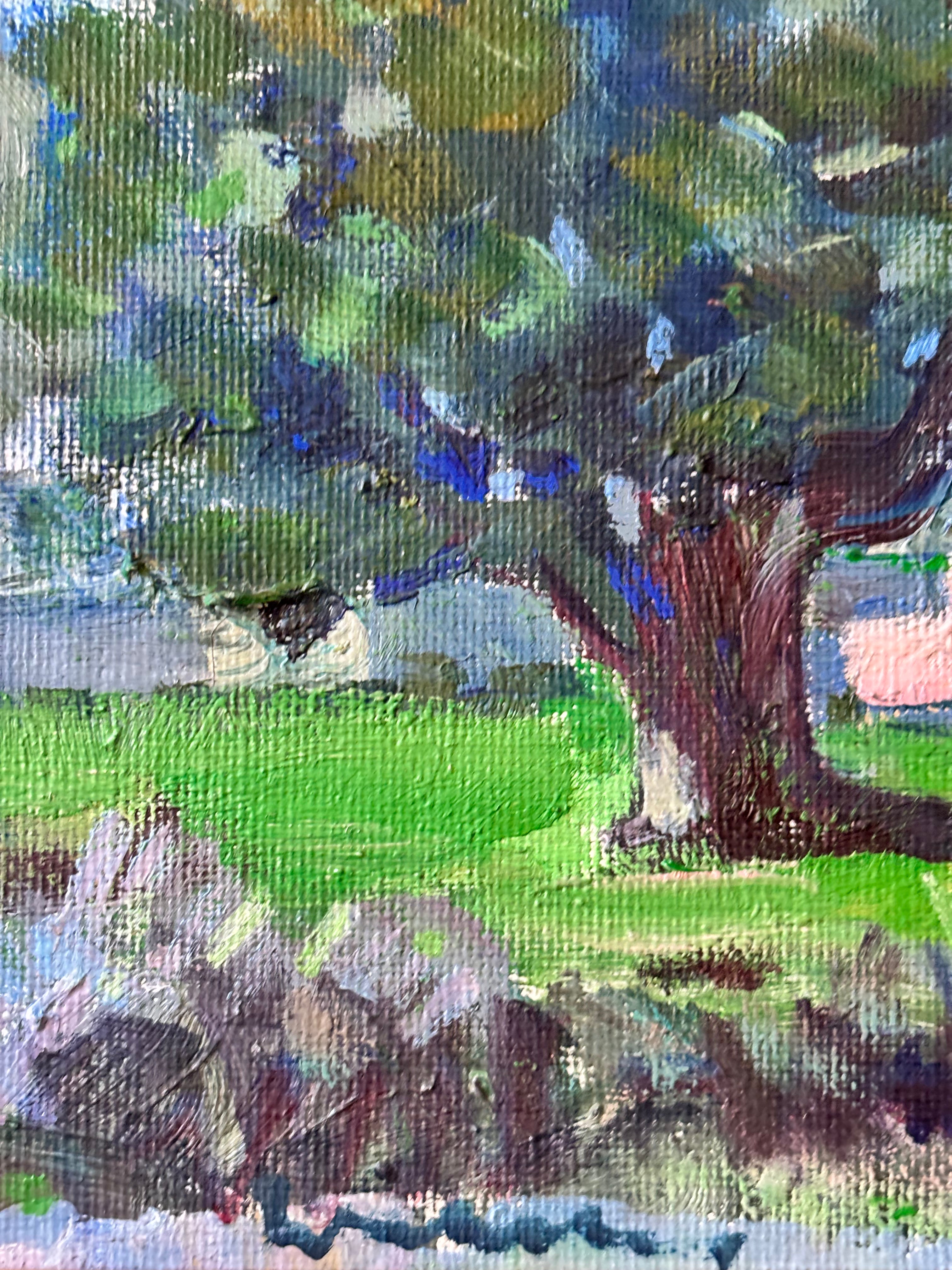 Moroccan Landscape in Spring