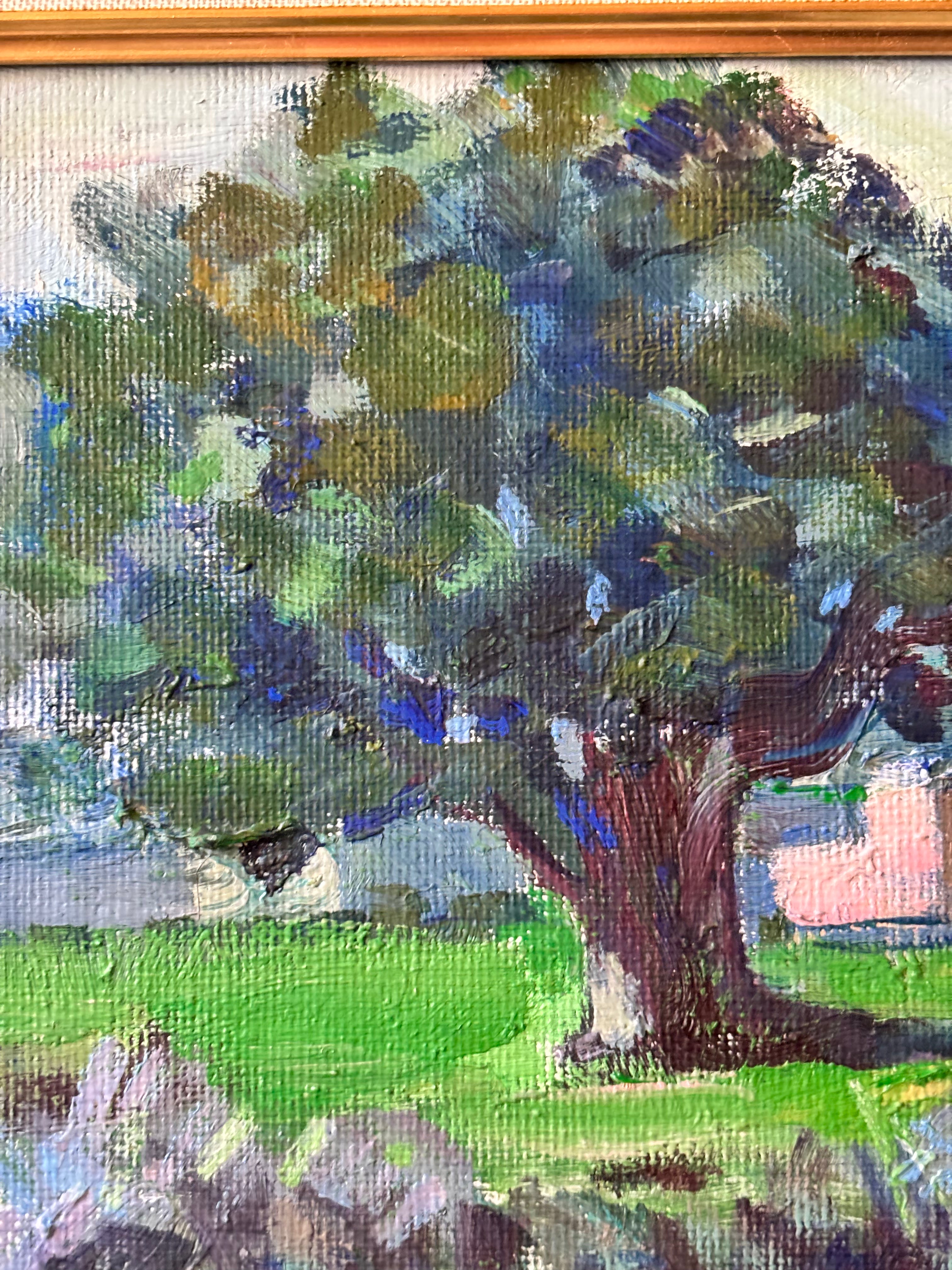 Moroccan Landscape in Spring