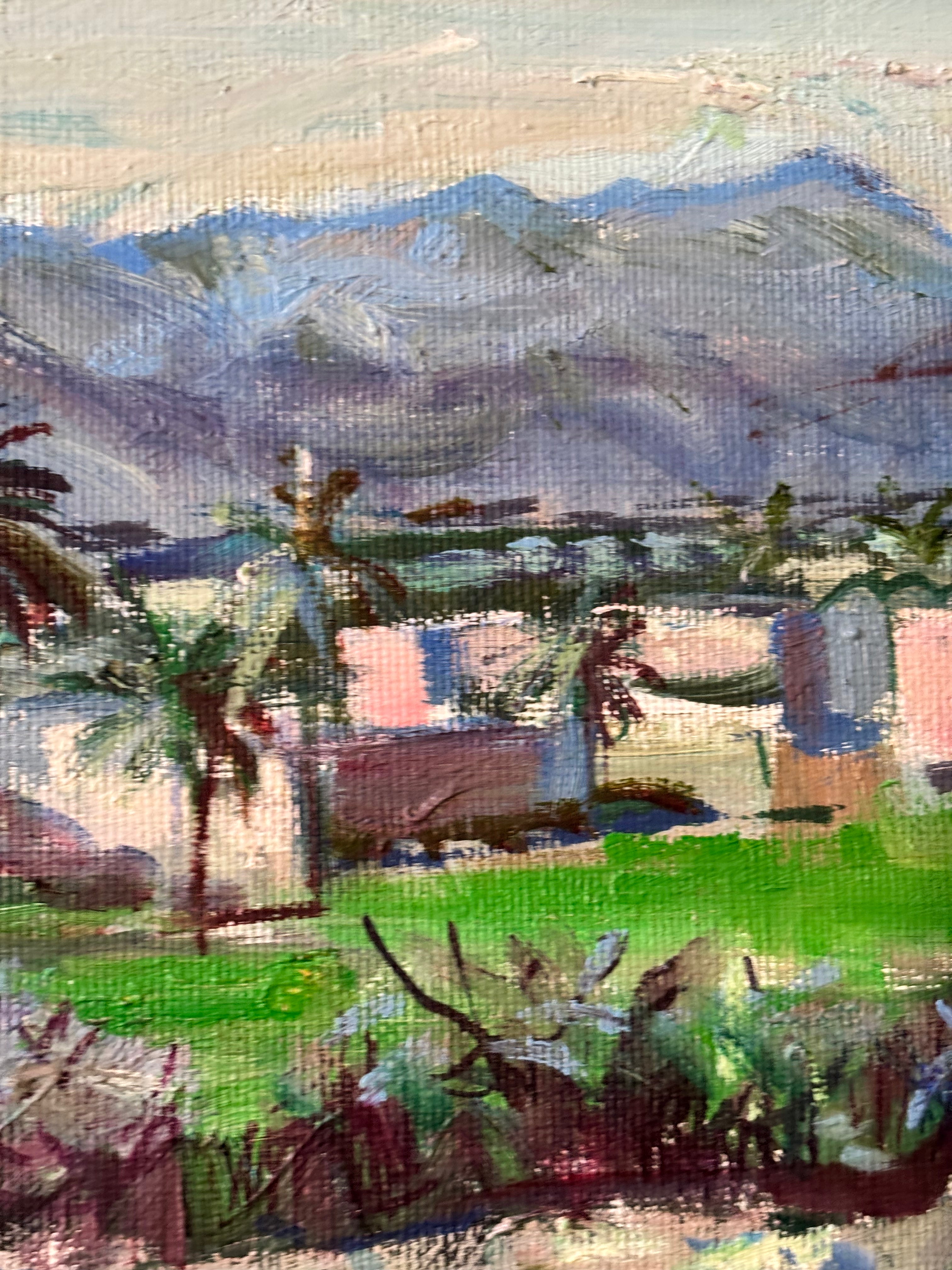 Moroccan Landscape in Spring