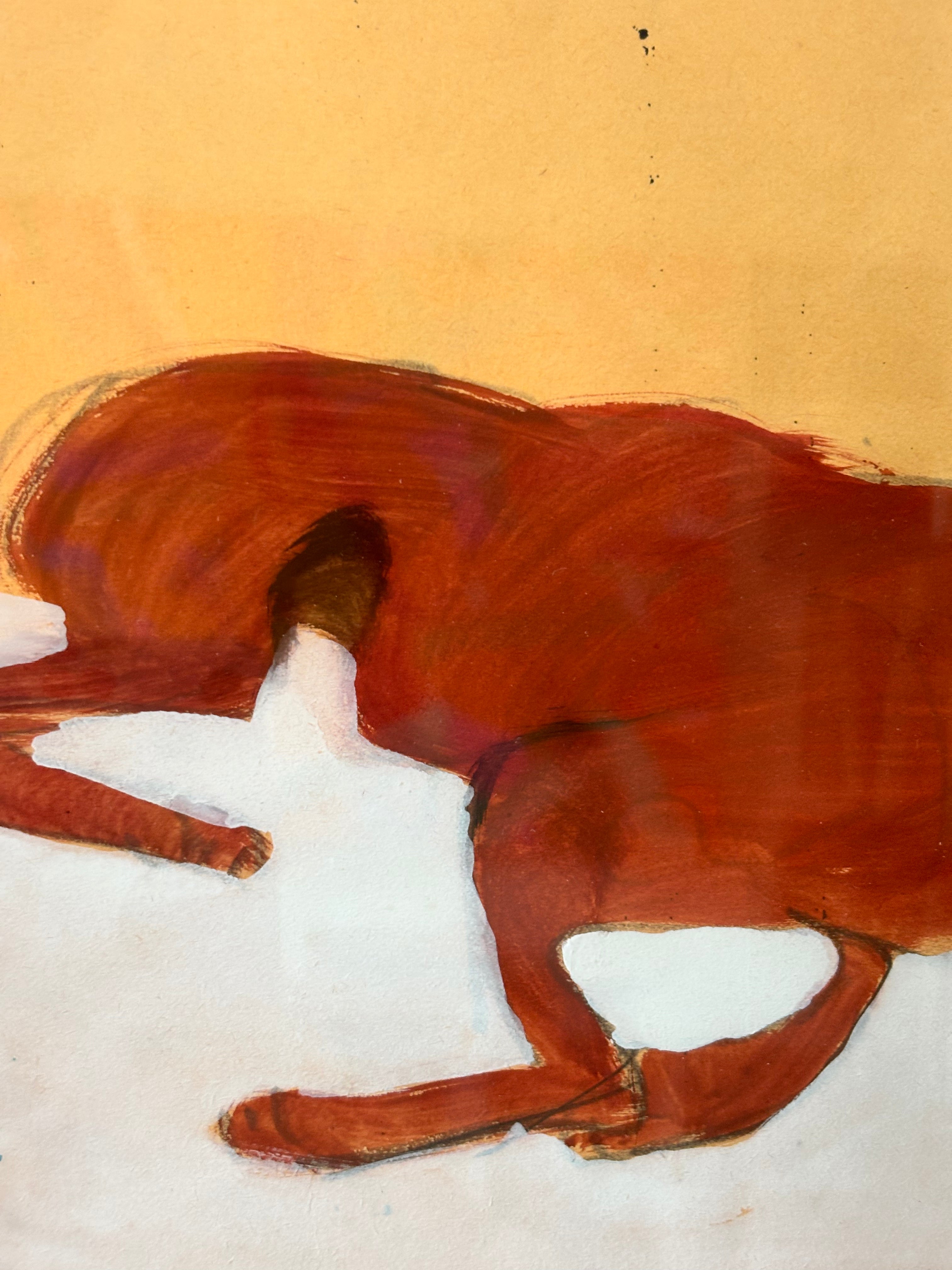 Dog Sleeping