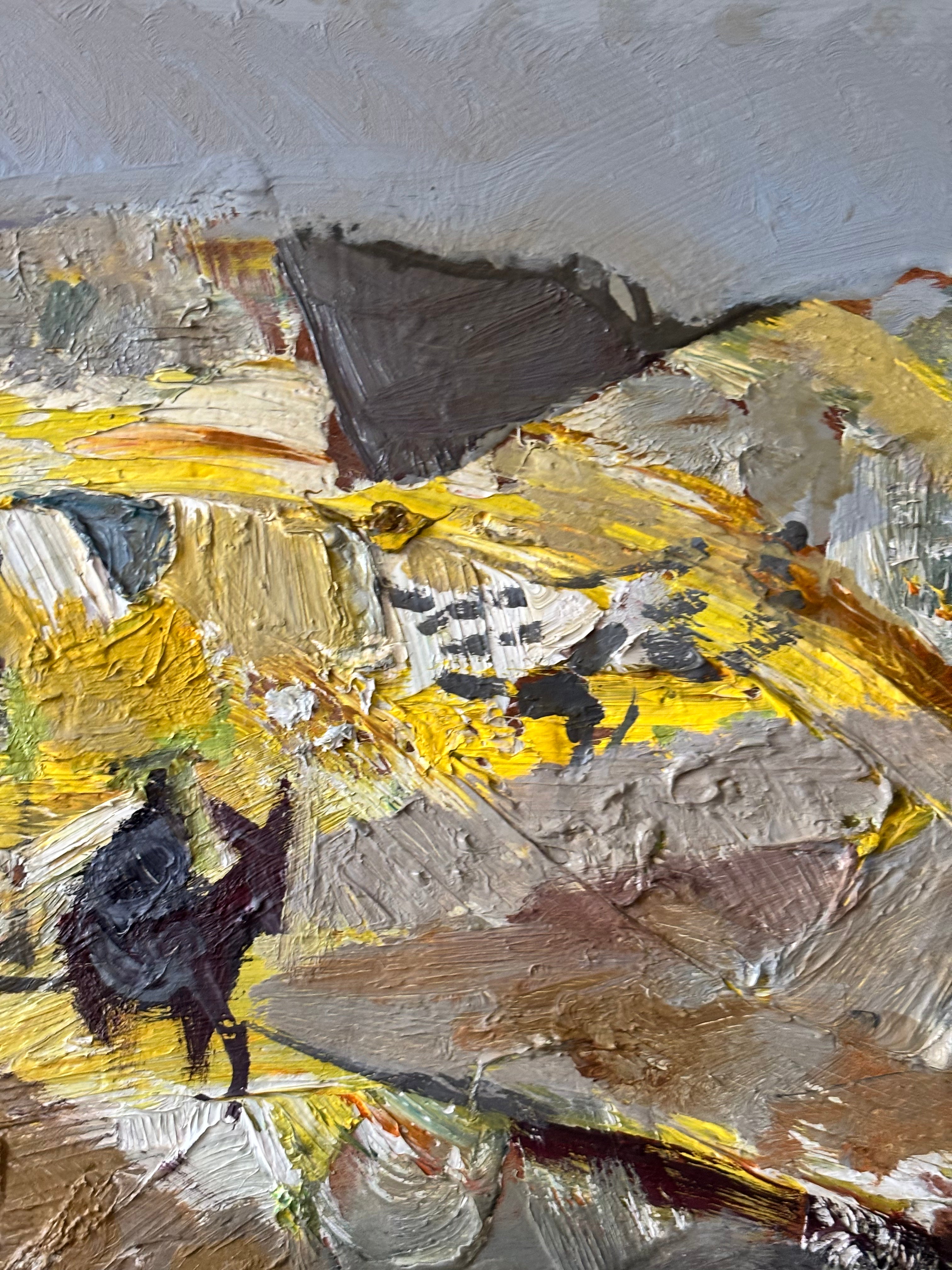 Donkey in the Mountains