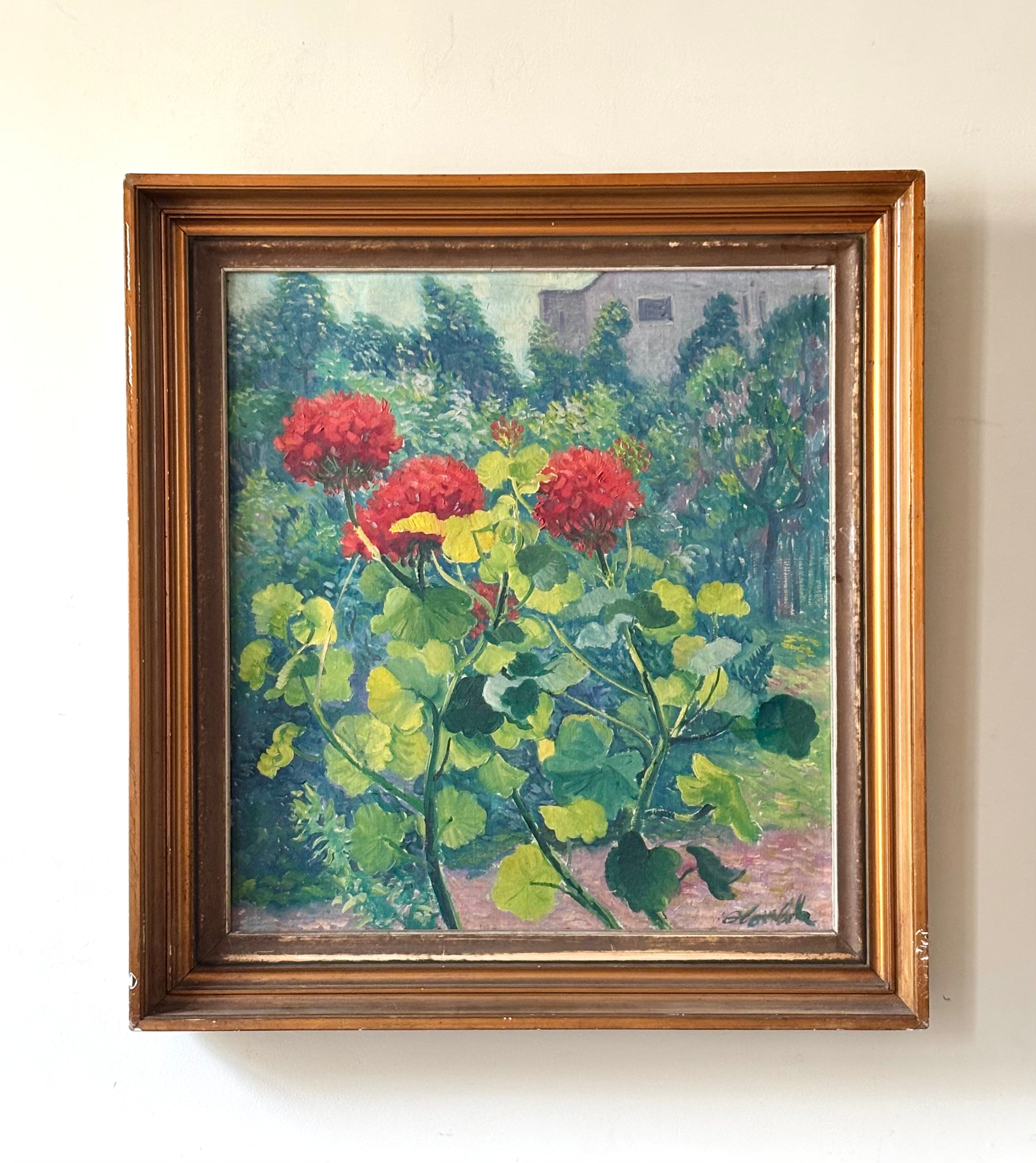 Red Geraniums in a Garden