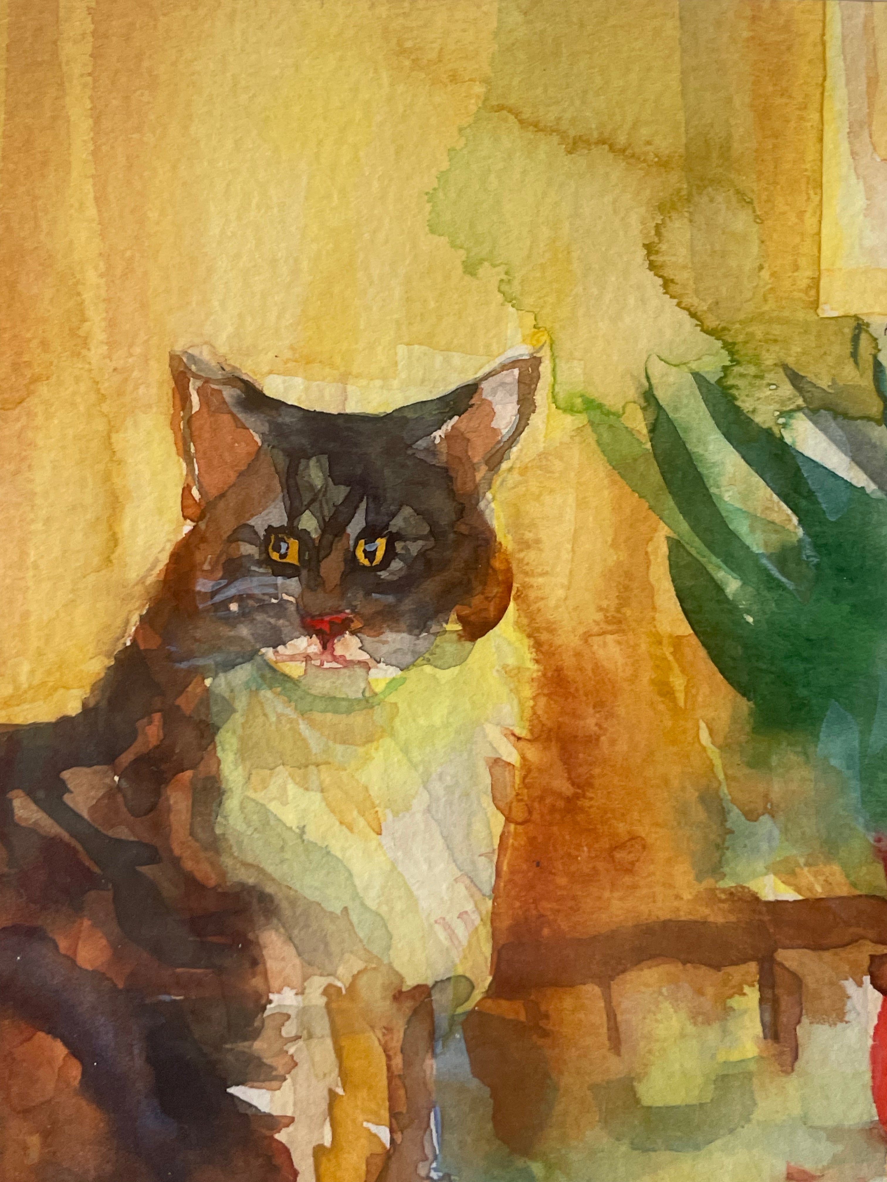 Granny's Cat'
