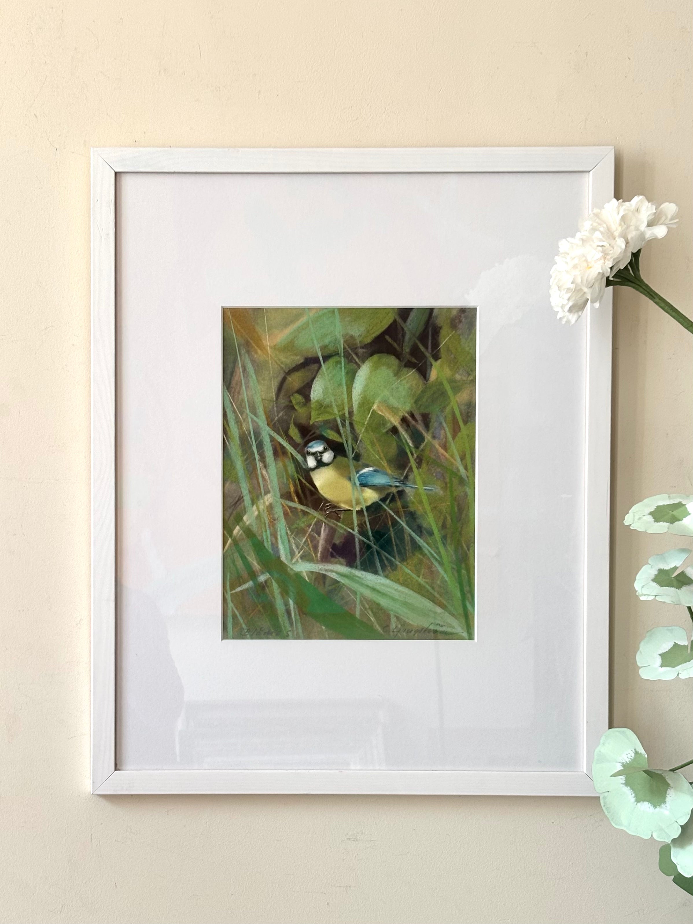 Blue Tit