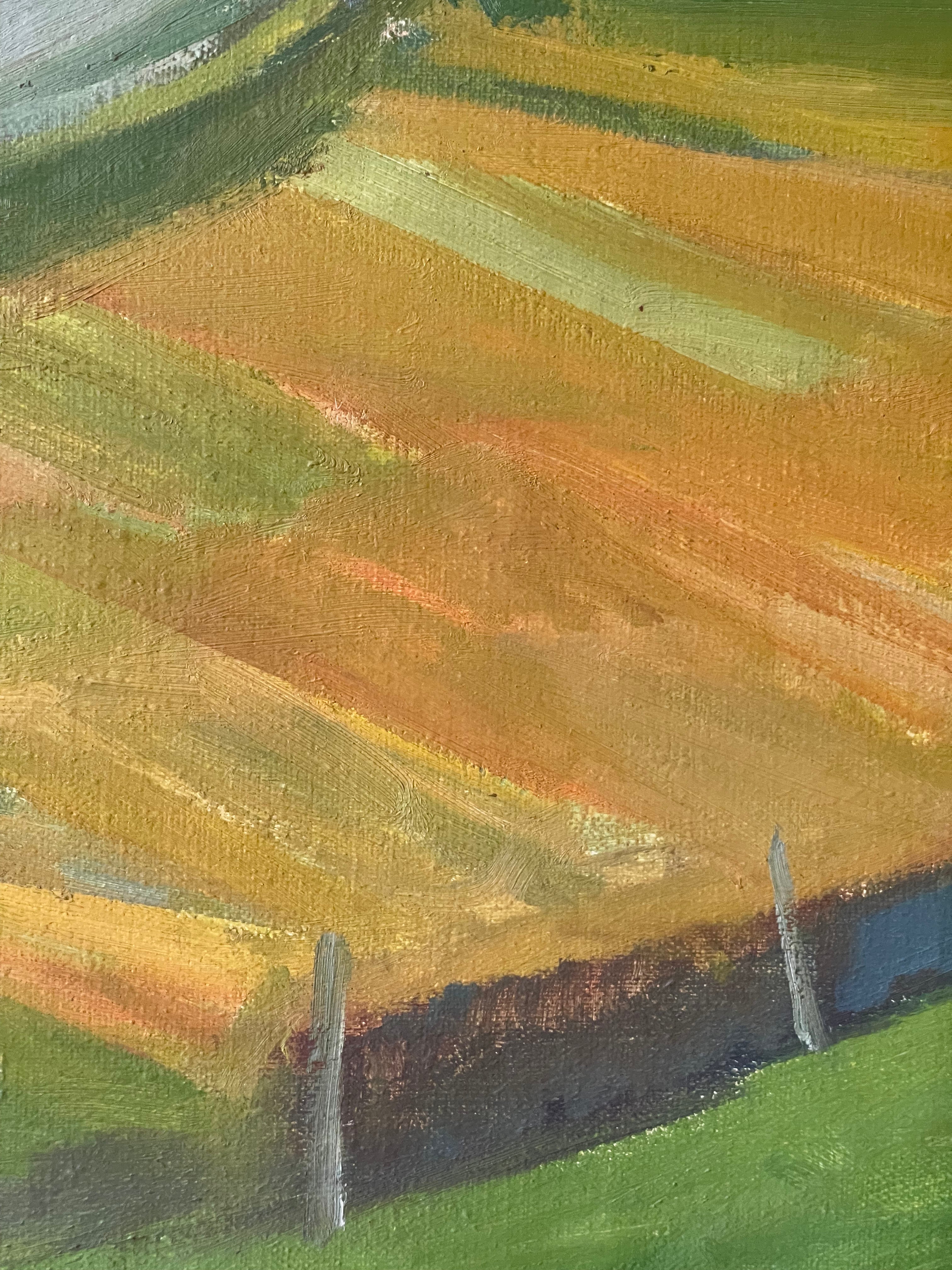 Danish Landscape