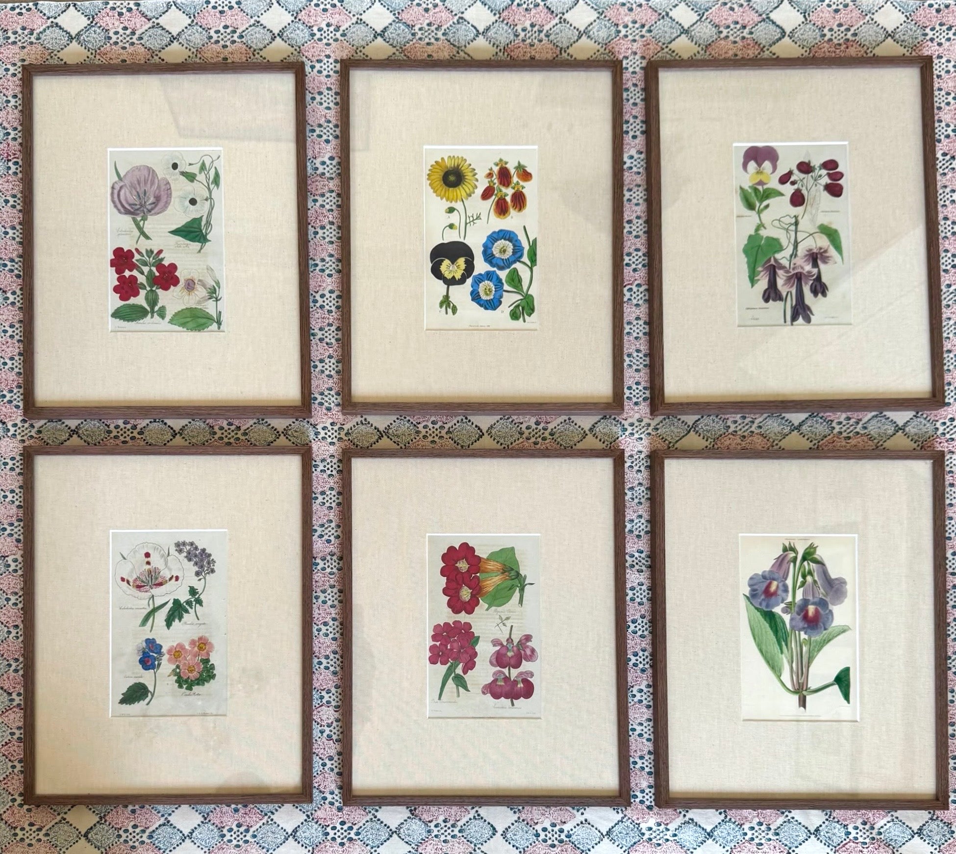 Floricultural Cabinet Prints
