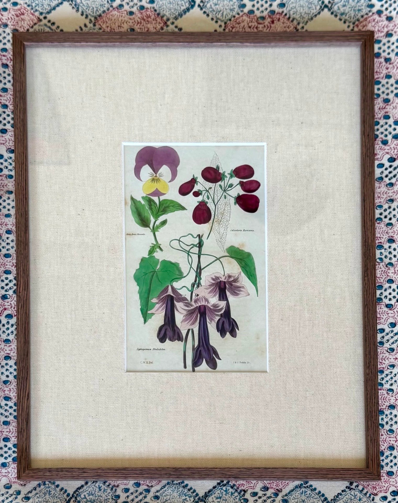 Floricultural Cabinet Prints