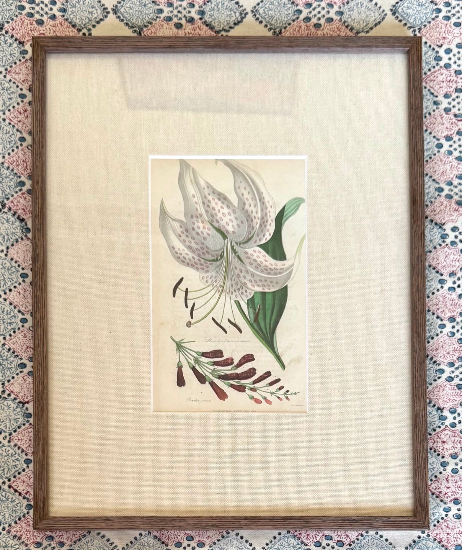 Floricultural Cabinet Prints