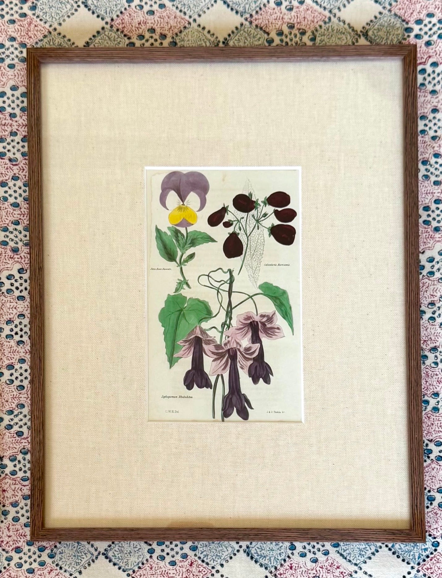 Floricultural Cabinet Prints