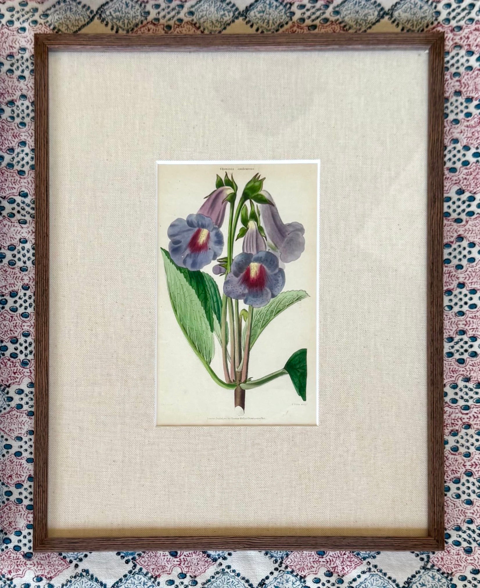 Floricultural Cabinet Prints